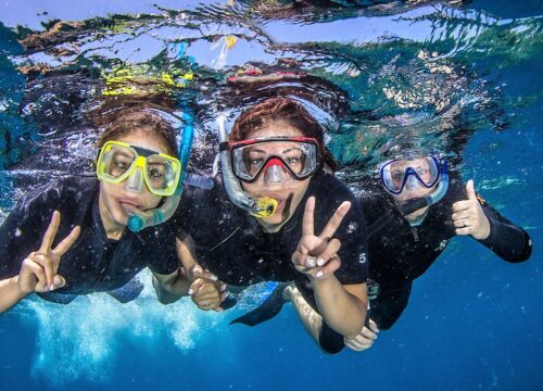 Abu Dabbab Beach – Excursion snorkeling